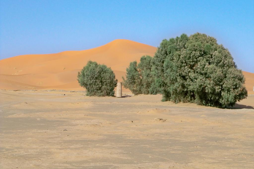 Kasbah Tamariste Bed and Breakfast Merzouga Buitenkant foto