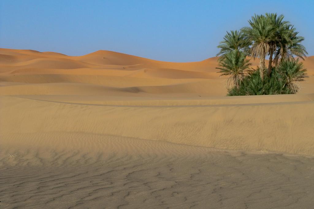 Kasbah Tamariste Bed and Breakfast Merzouga Buitenkant foto