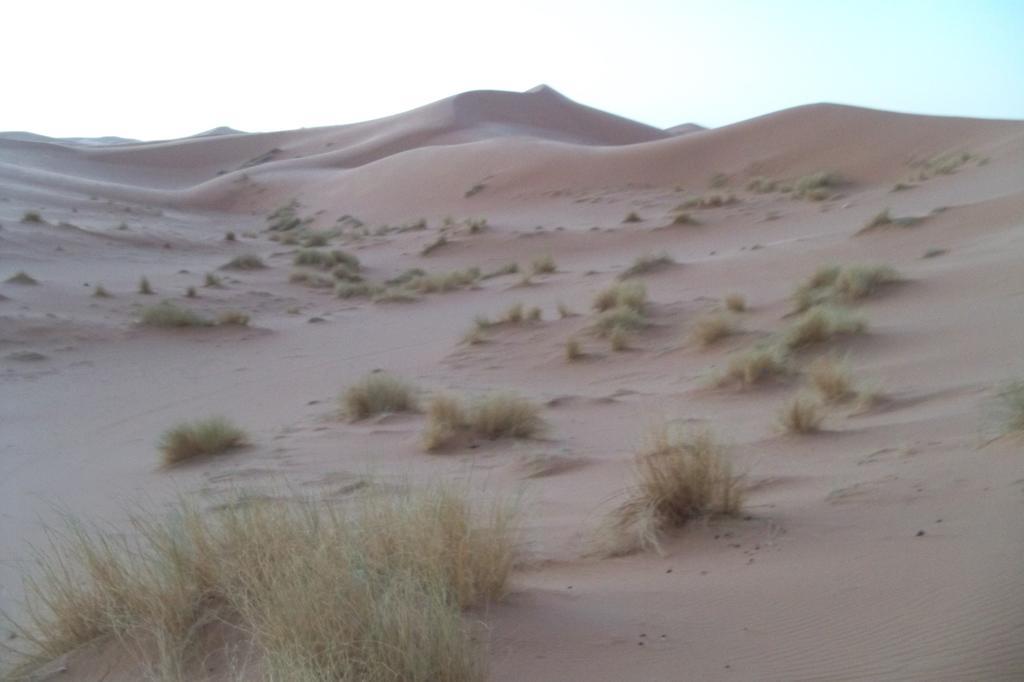 Kasbah Tamariste Bed and Breakfast Merzouga Buitenkant foto