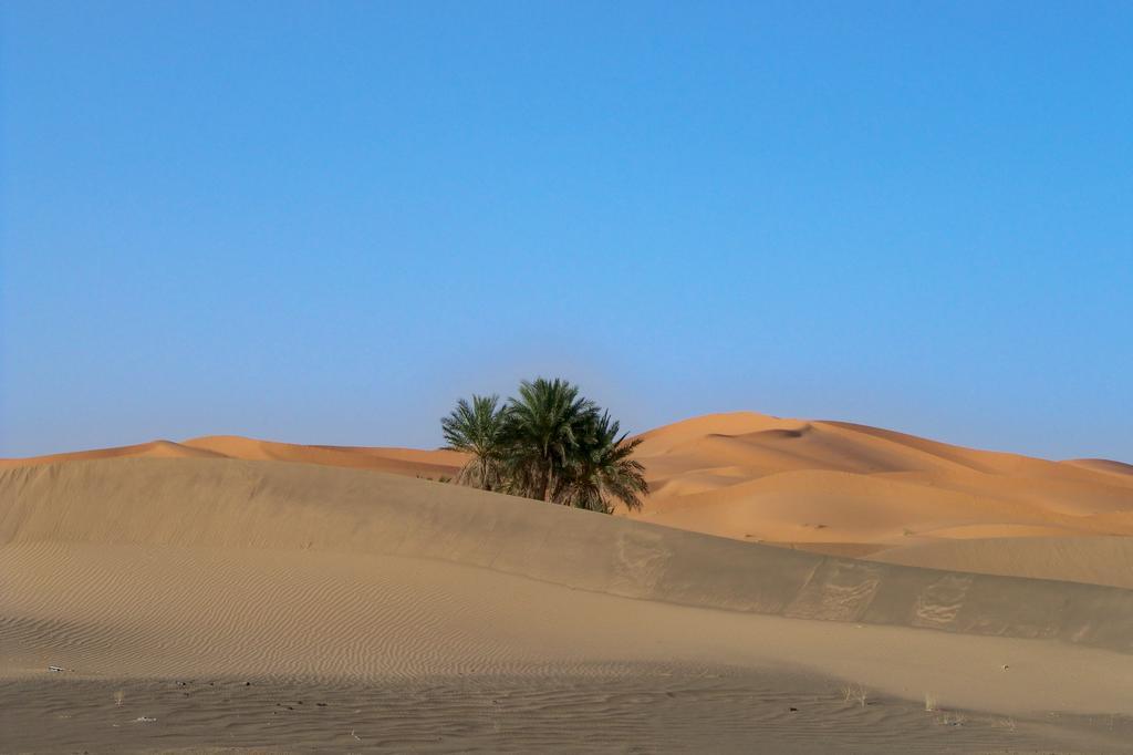 Kasbah Tamariste Bed and Breakfast Merzouga Buitenkant foto